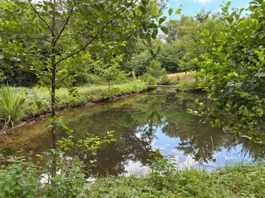 Terrains de loisirs bois etangs a vendre Villandraut 33730 Gironde  106000 euros