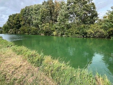 Terrain a batir a vendre Saint-Léonard 51500 Marne 914 m2  312588 euros