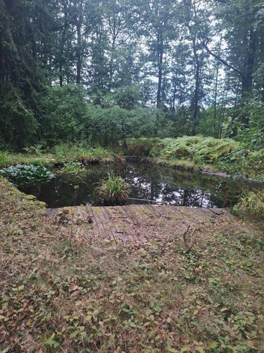 Divers a vendre Allogny 18110 Cher 72 m2  49500 euros
