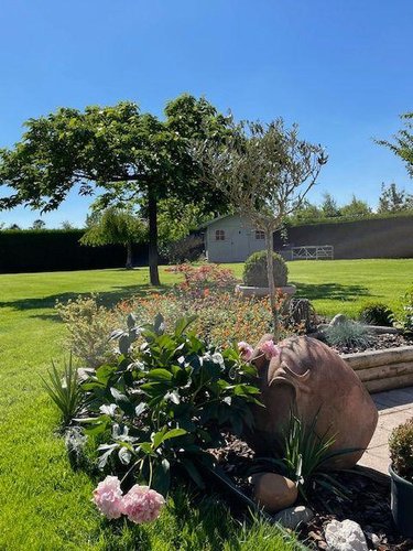 Maison a vendre Sainte-Marie-Cappel 59670 Nord 100 m2 5 pièces 348000 euros