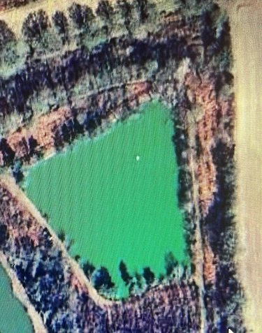Terrains de loisirs bois etangs a vendre Dingé 35440 Ille-et-Vilaine 29170 m2  46000 euros
