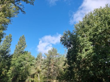 propriete a vendre Pruniers-en-Sologne 41200 Loir-et-Cher 142 m2 6 pièces 389980 euros