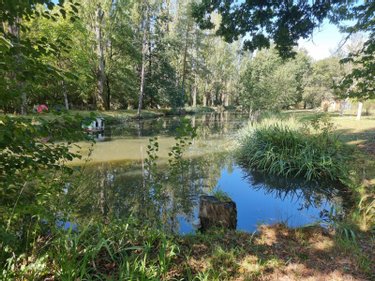 propriete a vendre Pruniers-en-Sologne 41200 Loir-et-Cher 142 m2 6 pièces 389980 euros
