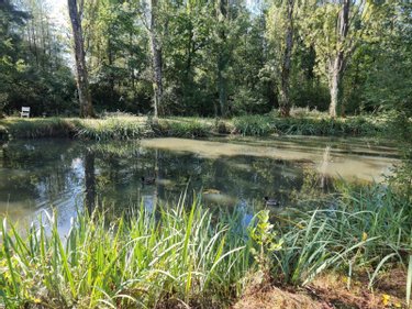propriete a vendre Pruniers-en-Sologne 41200 Loir-et-Cher 142 m2 6 pièces 389980 euros