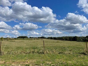 Terrain a batir a vendre Saulces-Monclin 08270 Ardennes 1250 m2  32500 euros