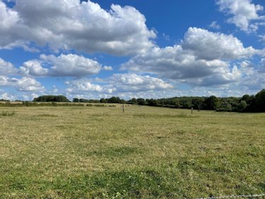 Terrain a batir a vendre Saulces-Monclin 08270 Ardennes 1250 m2  32500 euros