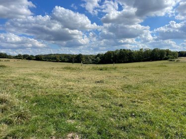 Terrain a batir a vendre Saulces-Monclin 08270 Ardennes 1250 m2  32500 euros