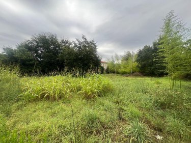 Terrain a batir a vendre Saint-Génis-des-Fontaines 66740 Pyrénées-Orientales 1200 m2  299000 euros