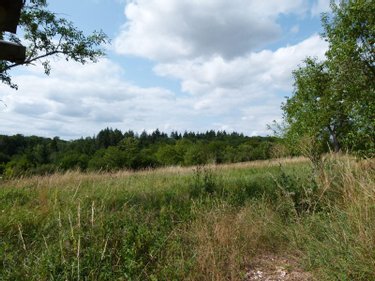 Maison a vendre Linard-Malval 23220 Creuse 70 m2 2 pièces 43000 euros