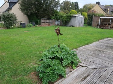 Location maison Irodouër 35850 Ille-et-Vilaine 85 m2 5 pièces 870 euros
