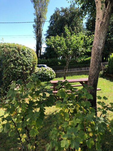 Maison a vendre Mauriac 15200 Cantal 105 m2  111300 euros