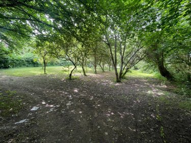Maison a vendre Pré-en-Pail-Saint-Samson 53140 Mayenne 100 m2 5 pièces 89740 euros