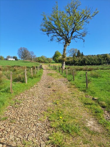 Terrains de loisirs bois etangs a vendre Juvigné 53380 Mayenne 2382 m2  17500 euros