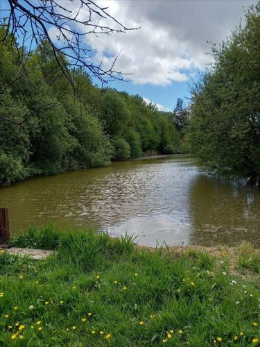 Terrains de loisirs bois etangs a vendre La Pellerine 53220 Mayenne 4014 m2  25000 euros