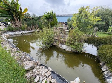 Maison a vendre Ponts-et-Marais 76260 Seine-Maritime 100 m2 3 pièces 189000 euros