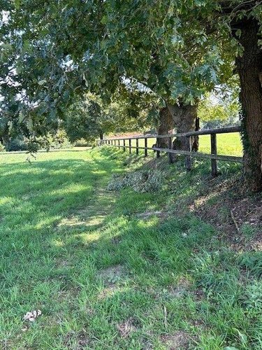 Maison a vendre Baugé-en-Anjou 49150 Maine-et-Loire 180 m2 8 pièces 640000 euros