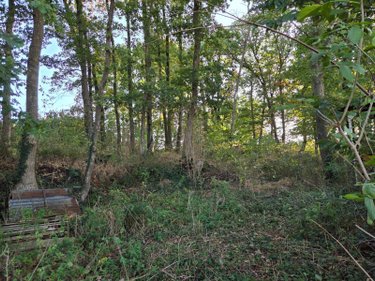 Terrains de loisirs bois etangs a vendre Lassay-les-Châteaux 53110 Mayenne 2490 m2  6200 euros