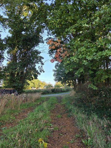 Terrains de loisirs bois etangs a vendre Lassay-les-Châteaux 53110 Mayenne 2490 m2  6200 euros