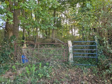 Terrains de loisirs bois etangs a vendre Lassay-les-Châteaux 53110 Mayenne 2490 m2  6200 euros