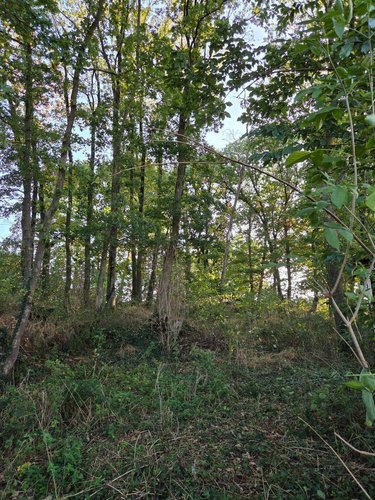 Terrains de loisirs bois etangs a vendre Lassay-les-Châteaux 53110 Mayenne 2490 m2  6200 euros