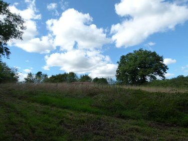 Terrains de loisirs bois etangs a vendre Bonnat 23220 Creuse 5450 m2  16500 euros