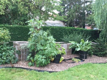 Maison a vendre Pitgam 59284 Nord 110 m2 5 pièces 279000 euros