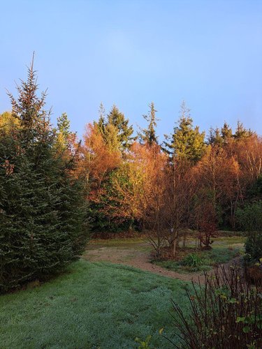 propriete a vendre Plestin-les-Grèves 22310 Côtes-d'Armor 222 m2 11 pièces 755900 euros