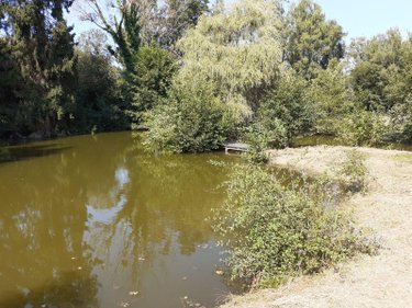Maison a vendre Marigné-Laillé 72220 Sarthe 120 m2 4 pièces 168000 euros