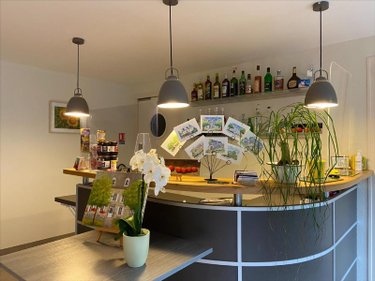 Fonds et murs commerciaux a vendre Mandailles-Saint-Julien 15590 Cantal 487 m2  653373 euros