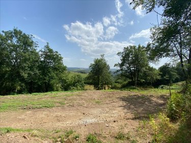 Terrain a batir a vendre Saint-Cirgues-de-Malbert 15140 Cantal 2735 m2  15000 euros