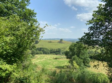 Terrain a batir a vendre Saint-Cirgues-de-Malbert 15140 Cantal 2735 m2  15000 euros