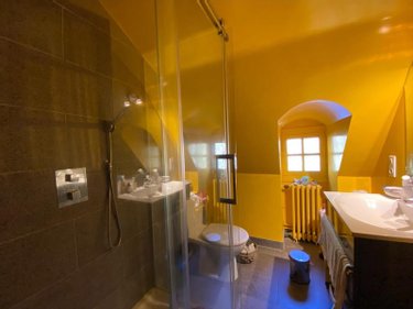 Maison a vendre Vic-sur-Cère 15800 Cantal 450 m2 10 pièces 668800 euros