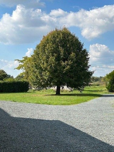 Maison a vendre Baugé-en-Anjou 49150 Maine-et-Loire 139 m2 7 pièces 287375 euros