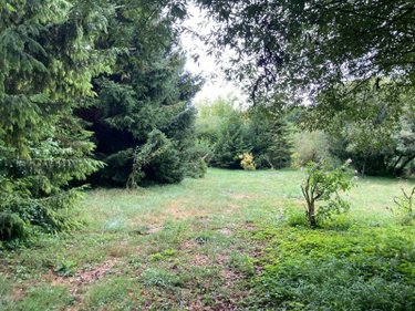 Terrains de loisirs bois etangs a vendre Chappes 10260 Aube 3330 m2  23500 euros