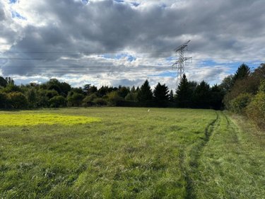 Terrains de loisirs bois etangs a vendre Chappes 10260 Aube 3330 m2  23500 euros