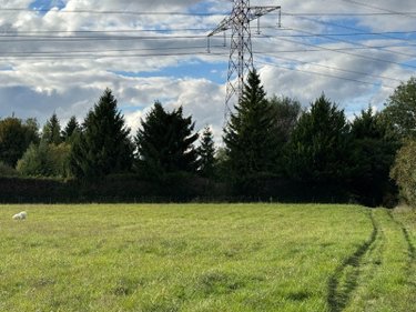 Terrains de loisirs bois etangs a vendre Chappes 10260 Aube 3330 m2  23500 euros