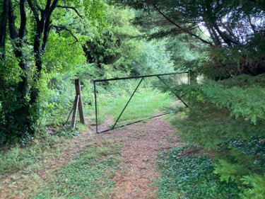 Terrains de loisirs bois etangs a vendre Chappes 10260 Aube 3330 m2  20000 euros
