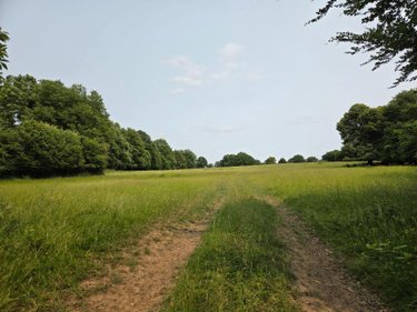 Bien agricole a vendre La Chapelle-au-Riboul 53440 Mayenne  82902 euros