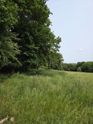 Bien agricole a vendre La Chapelle-au-Riboul 53440 Mayenne  82902 euros