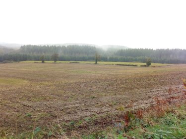 Bien agricole a vendre Averton 53700 Mayenne  32939 euros