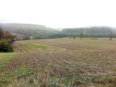 Bien agricole a vendre Averton 53700 Mayenne  32939 euros