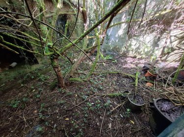 Maison a vendre Saint-Nicolas-du-Pélem 22480 Côtes-d'Armor 3 pièces 8000 euros