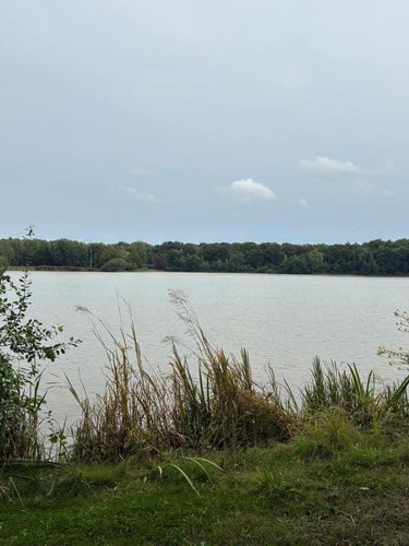 Terrains de loisirs bois etangs a vendre Vanlay 10210 Aube 304360 m2  415900 euros