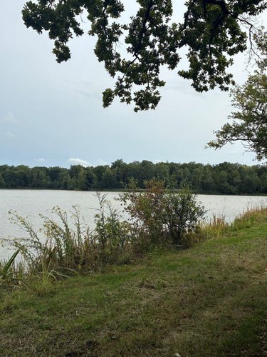 Terrains de loisirs bois etangs a vendre Vanlay 10210 Aube 304360 m2  415900 euros