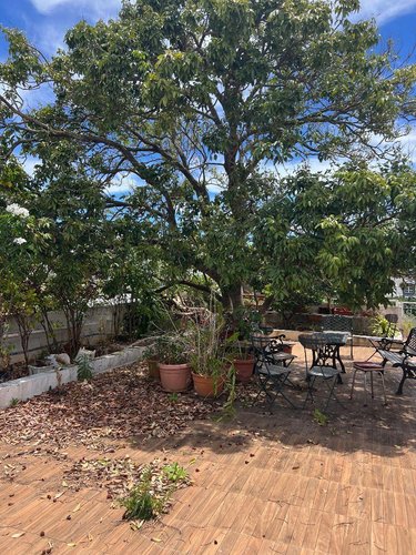 Maison a vendre Saint-Denis 97400 Réunion 258 m2 7 pièces 346100 euros