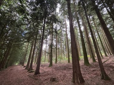 Terrains de loisirs bois etangs a vendre Le Ménil-de-Briouze 61220 Orne 519765 m2  801750 euros