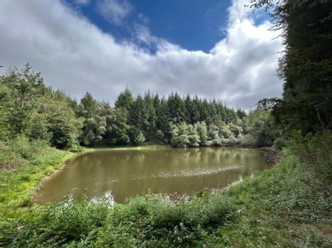 Terrains de loisirs bois etangs a vendre Le Ménil-de-Briouze 61220 Orne 519765 m2  801750 euros