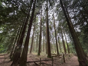 Terrains de loisirs bois etangs a vendre Le Ménil-de-Briouze 61220 Orne 519765 m2  801750 euros