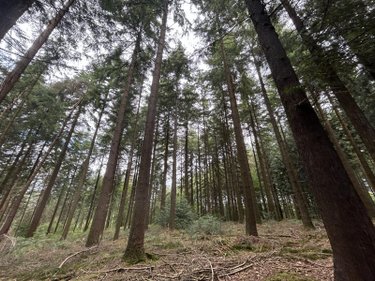 Terrains de loisirs bois etangs a vendre Le Ménil-de-Briouze 61220 Orne 519765 m2  801750 euros