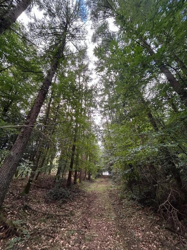 Terrains de loisirs bois etangs a vendre Le Ménil-de-Briouze 61220 Orne 519765 m2  801750 euros